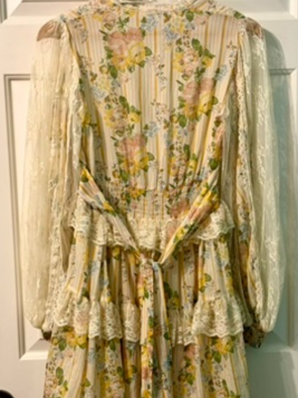 ✨ Spell & the Gypsy x Lisa Danielle Garden Rose Mini Dress ✨ Small - Picture 13 of 16